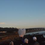 Cambria_0287 (November 02, 2013)